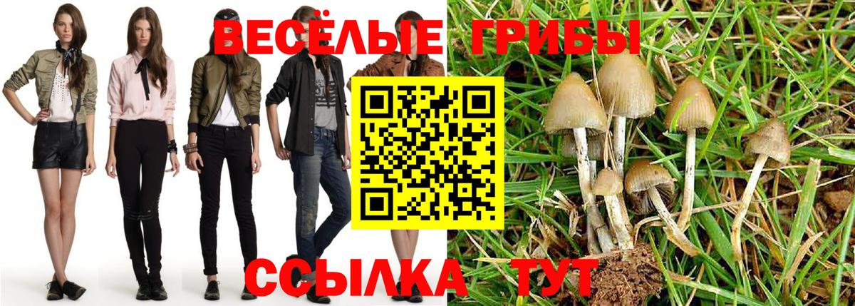 Галлюциногенные грибы прущие грибы  Вход с VPN  Ирбит 