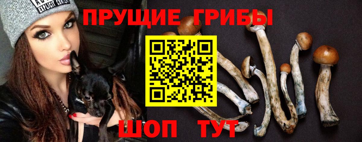 Псилоцибиновые грибы Psilocybine cubensis Ирбит