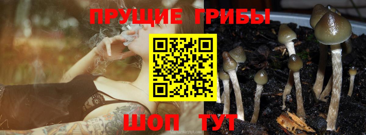 МЕФ кристаллы  Вейп ТГК  Ирбит  A-PVP СК   Вход с VPN  Гашиш  Бошки Шишки 